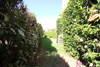 Il giardino nella parte laterale e la Doccia Esterna