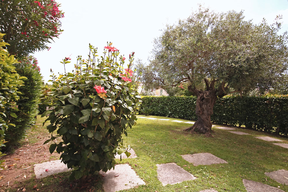 vendite al borgo di porto san paolo, soggiorno
