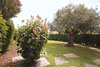 vendite al borgo di porto san paolo, soggiorno