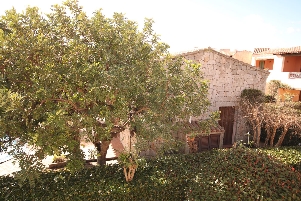 vendite al borgo di porto san paolo, angolo pranzo