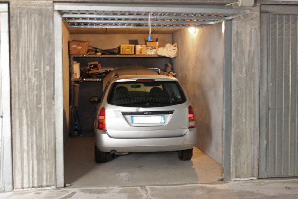 Piantina primo piano