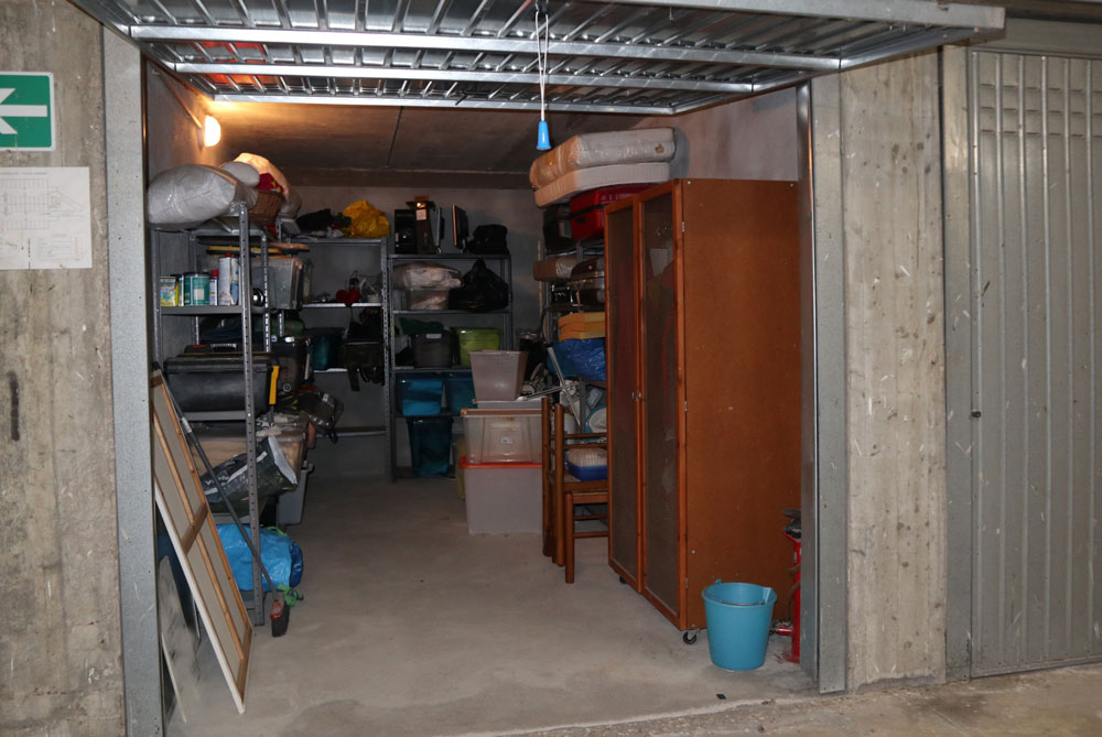 Piantina primo piano